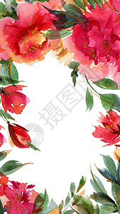 粉红小松鼠植物水彩色平方肖像背景植物学花园艺术荒野问候语卡片框架墙纸正方形手绘图片