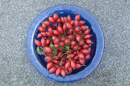 蓝色盘子 红色成熟的红色玫瑰臀部 顶端风景 特观 亮亮和多彩甜点药品食物宏观饮食橙子植物学浆果植物水果图片