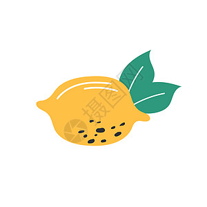 黄色柠檬 有孤立背景的叶子标志 手画设计风格图片