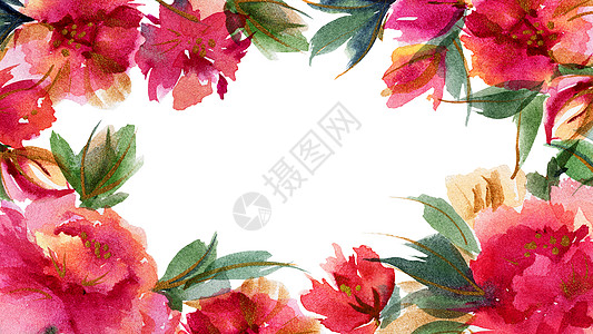 粉红小松鼠植物水彩色背景棉布插图卡片墙纸领导问候语植物学印花正方形花园图片