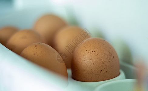 冰箱里有生鸡蛋 特制的 在冰箱门上的架子上装着煎蛋布的棕蛋营养饮食食物女性蛋壳产品塑料橙子团体早餐图片