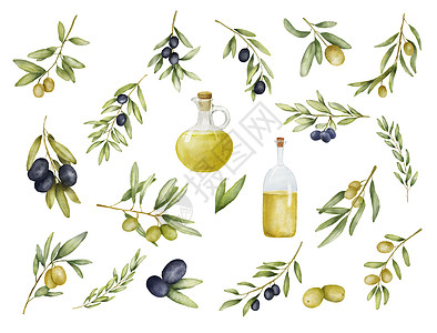 一套绿色和黑色橄榄枝和油瓶水彩画 手绘插图与孤立在白色背景上的橄榄叶 地中海美食图片