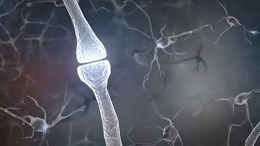 内向脑电荷 神经系统 脉冲转移和生成信号发动机环形显微镜神经生物学头脑记忆活力科学图片