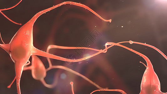 发送电信号和化学信号的合成元和神经系统生物冲动轴突网络细胞生物学科学背景医疗荷尔蒙图片