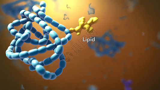 分子结构图片进入分子结构分子 排列整齐的分子 3D 插图身体染色体显微镜动物细胞生物学技术科学治疗基因组背景