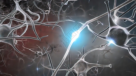 内向脑电荷 神经系统 脉冲转移和生成轴突环形医疗信号神经身体头脑流动记忆风暴图片