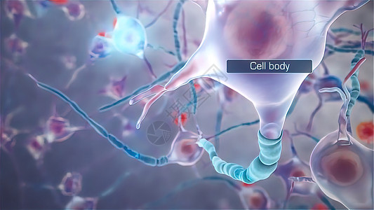 神经细胞销毁器多螺旋化神经系统细胞轴突人脑记忆医学生物学医疗信号电信图片