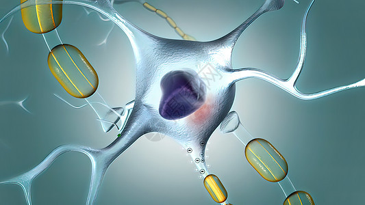 神经中质物质 一种释放在神经中的化学物质头脑医学药品医疗遗传学网络智力风暴保健神经元图片