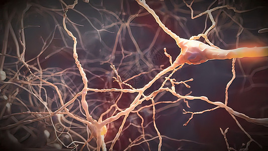 大脑的中微信号情感科学核子神经元辉光头脑宏观生物细胞活力背景图片