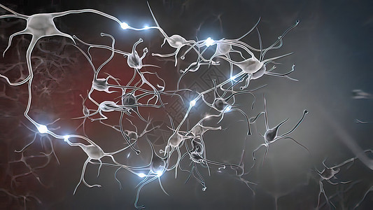 内向脑电荷 神经系统 脉冲转移和生成细胞活力头脑感官神经生物显微镜科学轴突环形图片
