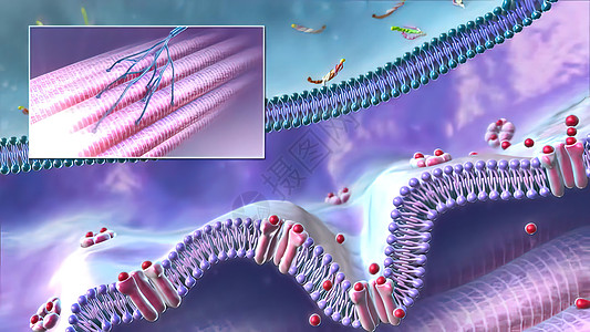 与艾美乐氏菌的中子树突轴突网络神经背景生物学科学细胞身体冲动图片