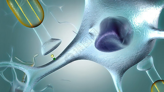 神经中质物质 一种释放在神经中的化学物质药品专注细胞基因医疗神经元遗传学头脑冲动核子图片