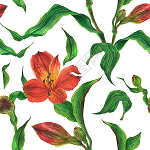 水彩色无缝模式 有红白藻蕾和鲜花树叶水彩投标植物学香气表面工艺品手绘热带植物图片