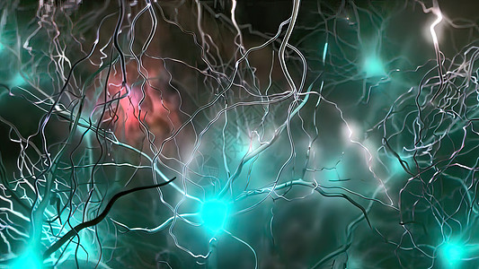 内向脑电荷 神经系统 脉冲转移和生成身体环形轴突显微镜细胞感官生物学神经生物头脑图片
