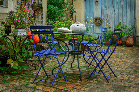 花园装饰着秋花 南瓜 植物石头风格椅子车道灌木边界草地脚步园丁季节图片
