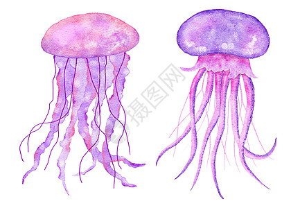 蓝色绿松石紫色水母的水彩插图 海洋水下野生动物 航海夏季海滩设计 珊瑚礁生活自然海蜇热带人物艺术苗圃织物卡通绘画墙纸海报图片