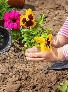 儿童种植花园 有选择的焦点微笑园丁工具女性生态地面园艺女孩孩子植物图片