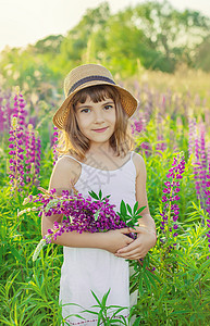儿童照片在乳胶场拍摄 有选择的焦点裙子幸福孩子童年日落横幅花束女孩草地女士背景图片
