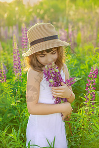 儿童照片在乳胶场拍摄 有选择的焦点草地自由孩子花朵女性横幅女士晴天女孩花园背景图片