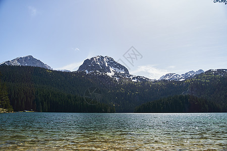 黑湖 自然景观 山湖 Zabljak 黑山 Durmitor国家公园湖岸闲暇岩石远足风景水晶假期森林蓝色国家图片