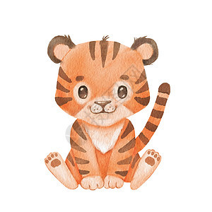以漫画风格绘制可爱的老虎肖像 绘制在白色背景上孤立的非洲野猫宝宝 丛林动物正坐着图片