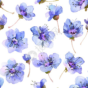 水彩花卉图案墙纸打印插图枝条花朵花园墨水艺术樱花花瓣图片