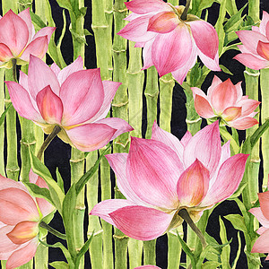 水彩色无缝模式水彩植物学杂色冥想植物绘画纺织品墙纸植物群粉色图片
