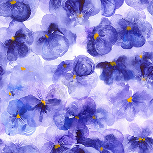 紫花盆 水彩色无缝模式中提琴紫色绘画野花水彩植物群植物框架纺织品投标图片