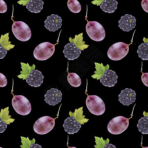 紫色渐变现代水彩植物图示 黑莓和葡萄插图食物甜点紫色浆果果汁农业包装藤蔓收成背景