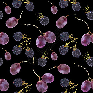 紫色渐变现代水彩植物图示 黑莓和葡萄浆果设计紫色包装插图收成水果纺织品果汁食物背景