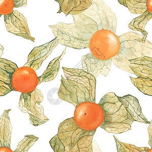 手绘水果植物水彩色物理盐类无缝裁缝模式水果包装纸手绘英语热带浆果食物水彩墙纸背景