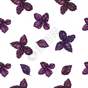 紫丁基的维氏水彩色无缝图案季节美食包装小路食物纺织品沙拉剪裁树叶厨房图片