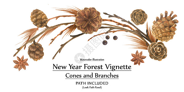 新年设计有分支和锥形的新年 vignette边界风格框架派对装饰水彩花束横幅标题木头图片
