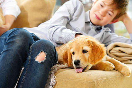 年轻男孩在家里玩小狗狗的游戏 他很聪明猎犬拥抱孩子们男生孩子幸福友谊卧室家庭婴儿图片