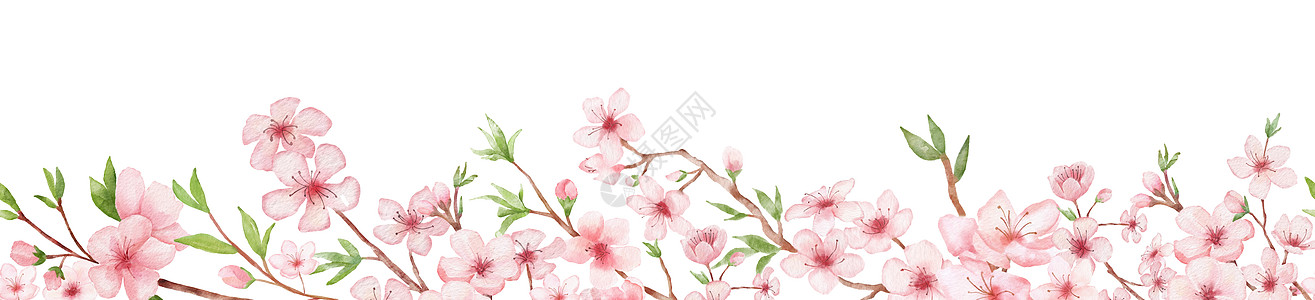 樱花分水分 白后草原上无缝边框彩色 日本花架 花粉红背景图片
