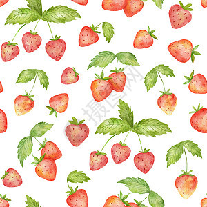 以可爱草莓和绿叶的无缝模式绘制的水彩色无缝结构 在白色上隔绝的夏季白莓甜点植物农业浆果饮食水果草图市场绘画水彩图片