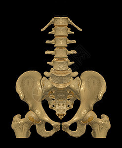 CT 腰椎或 LS 脊柱 3D 渲染图像前视图 3D 插图图片