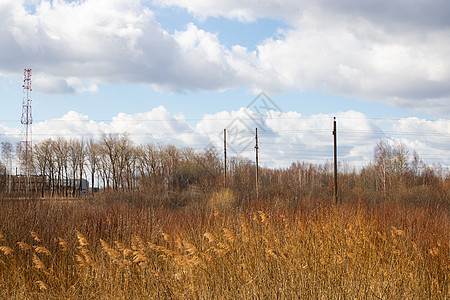 田地和电线杆上的干黄草金子草地森林力量天堂工程跑步旅行土地蓝色图片