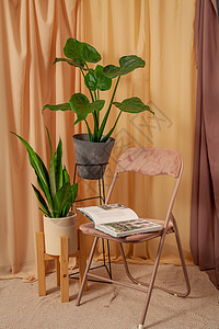 仍然活在棕色窗帘上的植物和椅子上书的背景之中图片