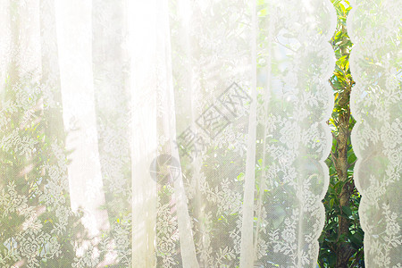 白窗帘 有窗口视图/树园花园背景图片