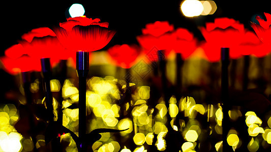 爱情人节贺卡在抽象的bokoh背景上的红玫瑰图片
