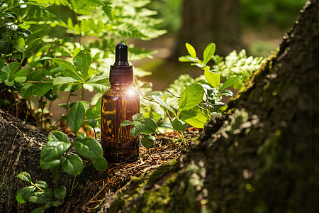 代用容器位于天然森林背景上 具有适量性苔藓美容生态按摩胶原商品身体润肤玻璃护理背景图片