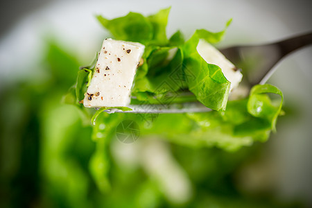 新鲜绿色生菜沙拉 在叉口上配有马扎里拉和草药美食叶子小吃烹饪洋葱蔬菜倾斜食物盘子草本植物图片