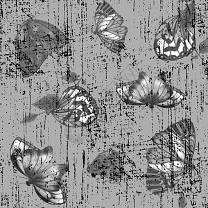 白色背景上各种大小的蝴蝶 无缝模式与蝴蝶荒野翅膀灰色生物学铅笔艺术手绘插图蜡笔昆虫图片