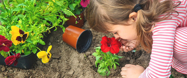 儿童种植花园 有选择的焦点乐趣孩子女孩教育环境园丁园艺叶子生长农场图片