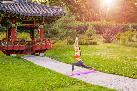 年轻女子在公园里练瑜伽保健运动训练生活方式活动草地活力卫生休闲沉思图片