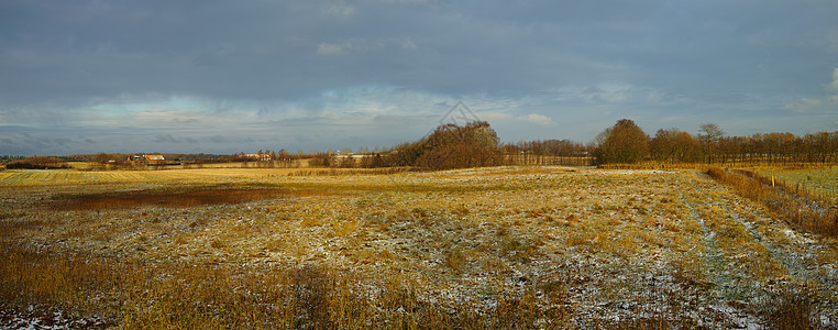 冬日的田野景观 草地上有一点雪 天空多云 在开阔的草地上晒黑的草 棕色牧场融化雪和地平线上树木的乡村图片