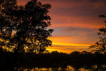 彩色的双月光树 背景有暮光景观 色彩多彩的天空树叶场地风景夕阳阳光公园地平线蓝色草地日落图片