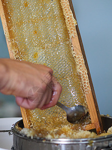 养蜂人在家里从蜜蜂蜂蜂巢中提取有机蜂蜜并滴水加工食物框架蜂蜡过滤养蜂业健康饮食工作分隔器营养图片