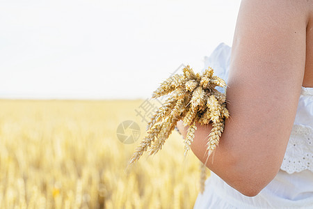 身着白裙子和夏帽的年轻女子站在小麦田上 背景是日出 背视大麦植物女性国家裙子农村草地小麦收成天空图片